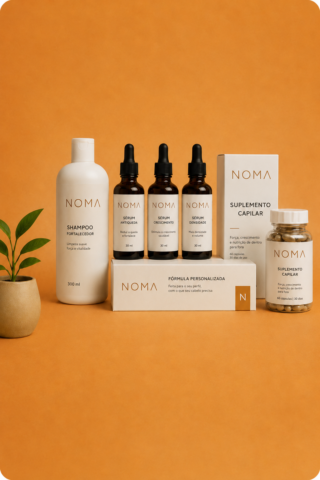 Conjunto completo de produtos capilares personalizados NOMA